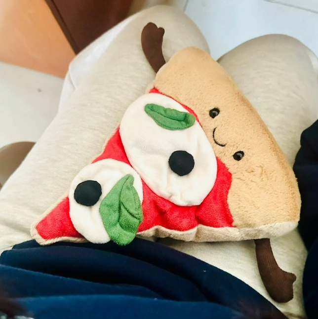 ハンバーガーピザオーナメントギフト Jca ラベル完全なリビ - Home And Textiles Today のレビューと価格